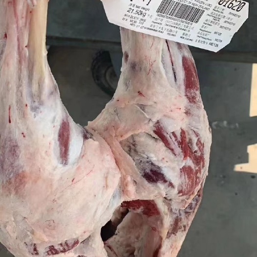 西安 冻羊肉，物美价廉