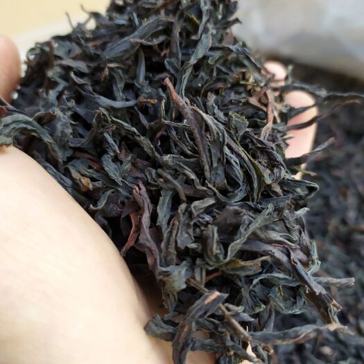 惠来县凤凰单枞  乌岽单枞茶潮州凤凰单丛茶炭焙高山茶蜜兰香单枞熟茶铁罐套装1