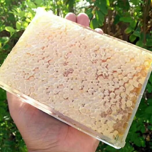 精河县 家养蜜蜂蜂巢蜜，无糖，蜜味浓郁