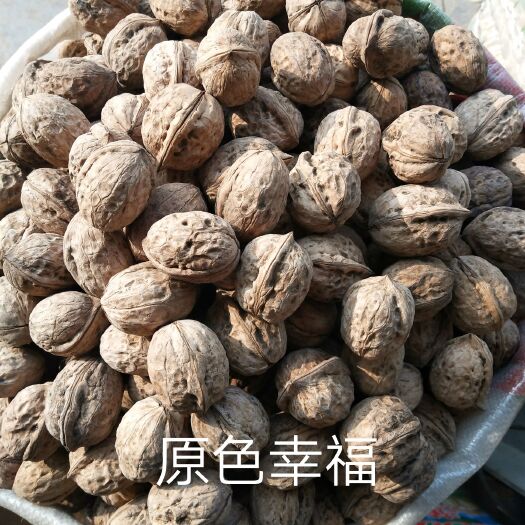 郑州薄皮核桃 原色大幸福，天然，手捏既开