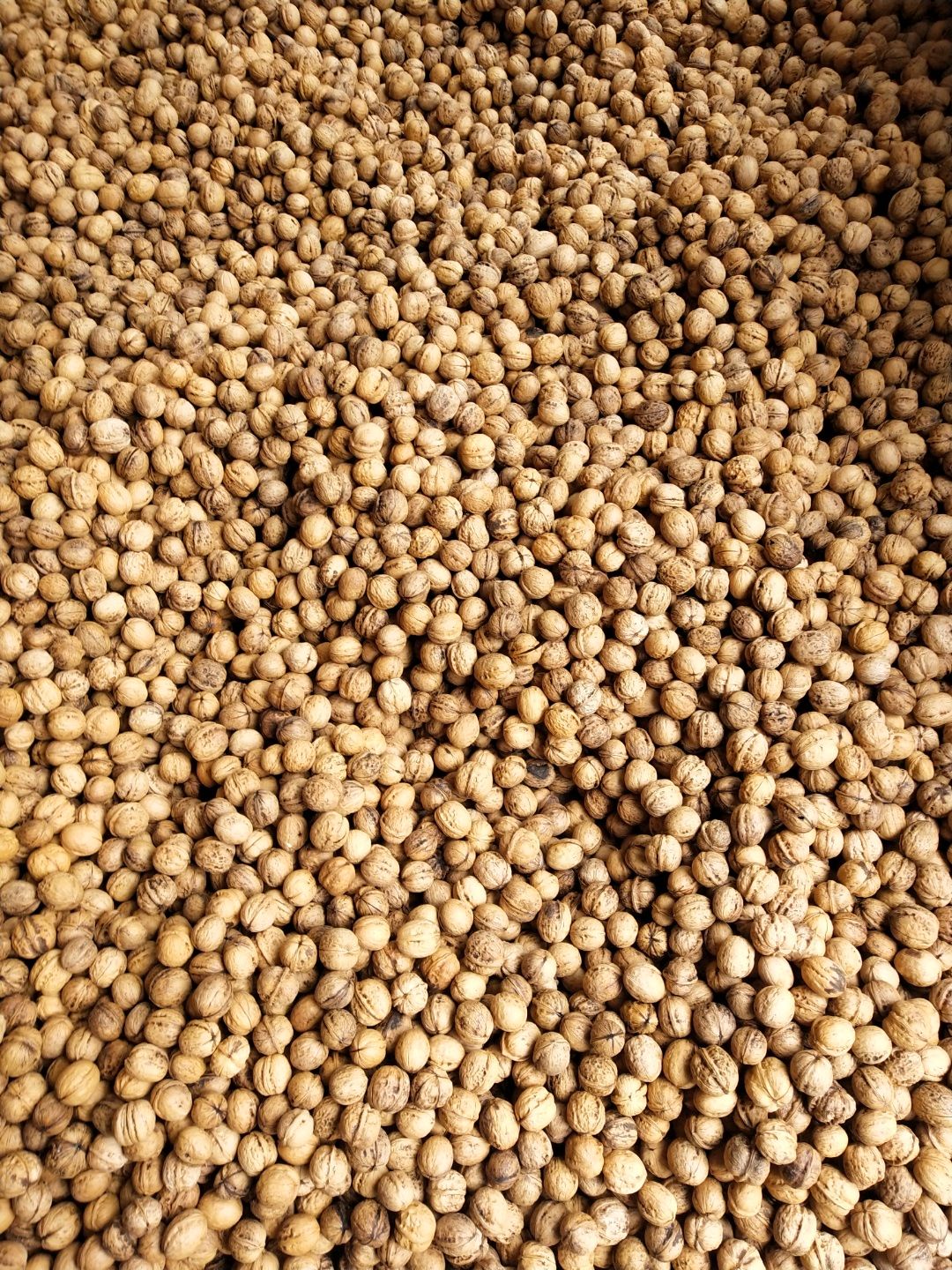 香玲核桃 香味儿十足。不添加。任何防腐剂浸泡。天然。