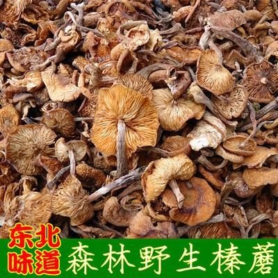  中端榛蘑价格亲民