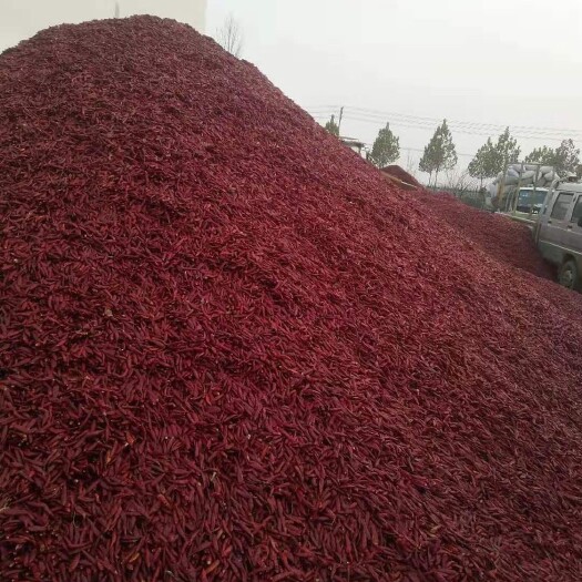 徐州三樱干辣椒 加工福建辣椒王 河南三樱椒 印度椒等各类精品无籽辣椒段