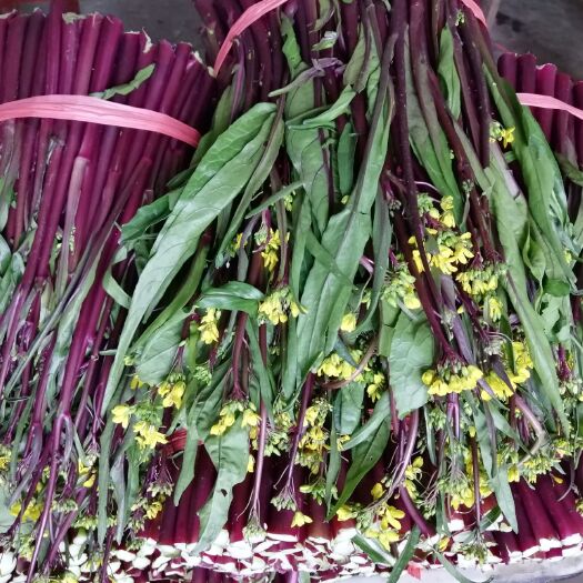 嘉鱼县红菜苔 6毛以上，随行就市