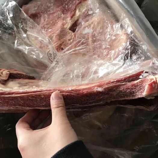 太和县牛肋排 冷冻牛排 牛肉 烧烤涮酒店餐饮 量大更优惠