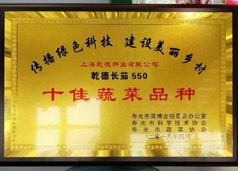 【包邮】长茄550 绿萼长茄 硬度高 味道鲜美 颜色亮