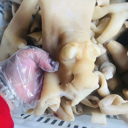 阳信县牛皮  五香牛蹄皮，原味牛蹄皮。