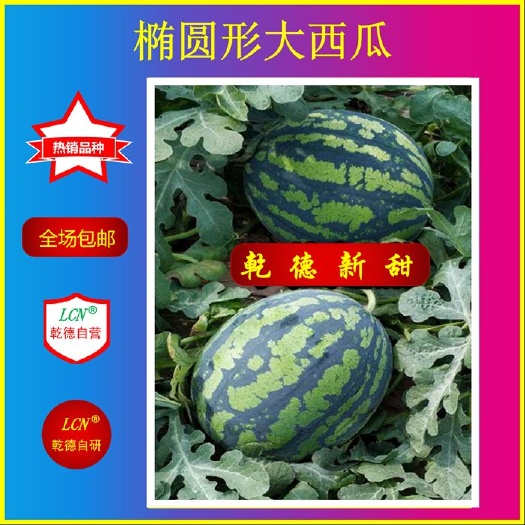 【包邮】乾德新甜    糖度高 脆甜可口 耐裂 易储运