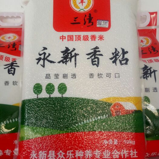 永新县象牙香米 一等品 晚稻 籼米