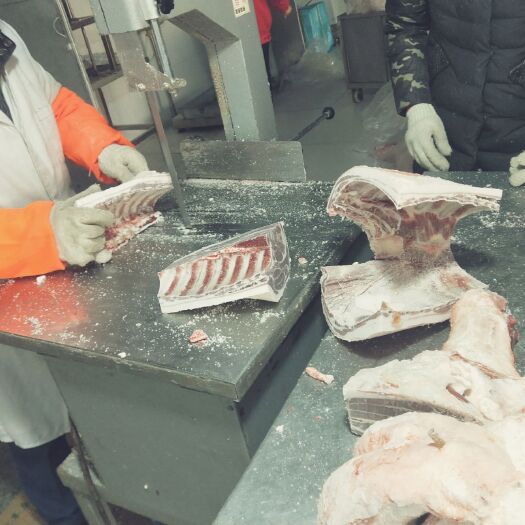 锡林浩特 自家养的放心羊，请放心食用，今天在草原上，明天在你餐桌上。