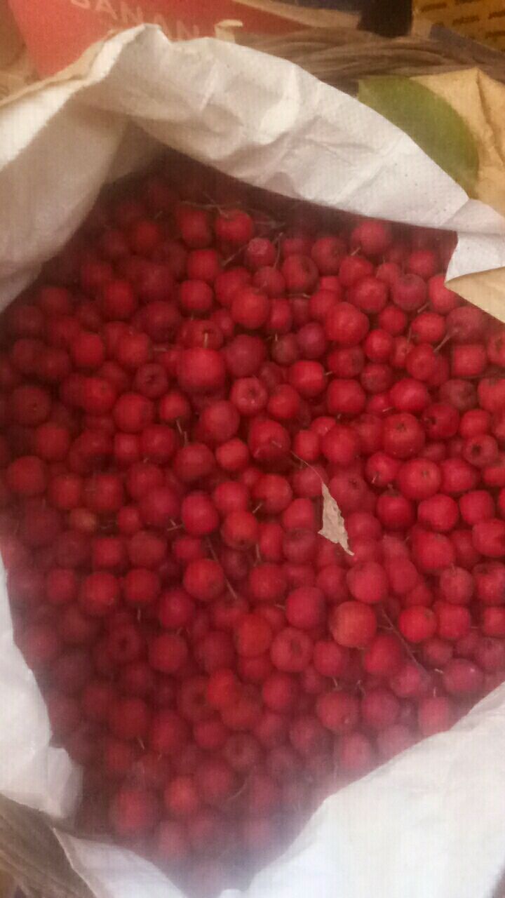 铁山楂 自家农产品