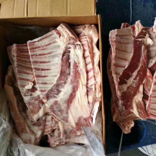 太和县羊排骨 澳洲572羊排 羊肉