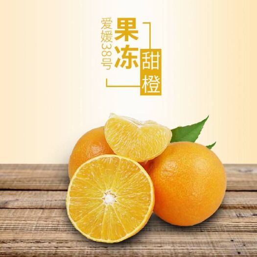 中牟县爱媛38号柑桔 精品爱媛橙