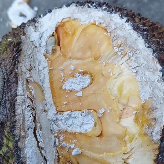 麻栗坡县越南菠萝蜜 10-15斤