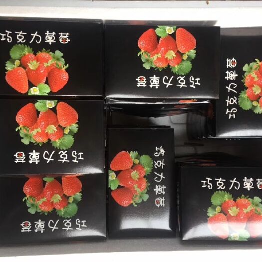 德昌县 巧克力草莓8元一盒