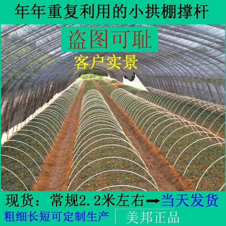 单体拱棚 新型拱棚杆支架，厂家直销