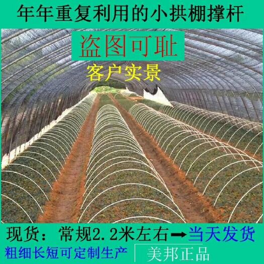 东莞市单体拱棚 新型拱棚杆支架，厂家直销