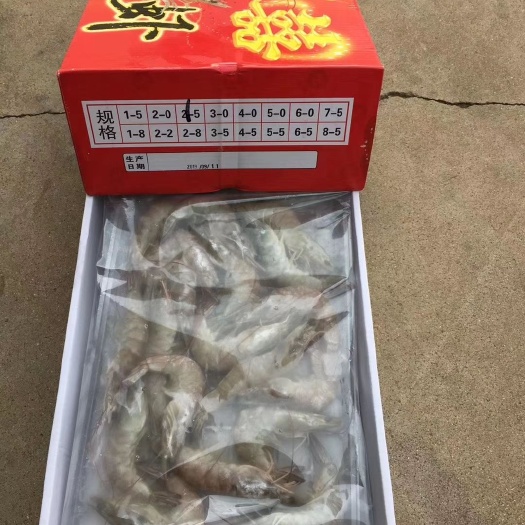 海阳市 精品对虾已到货