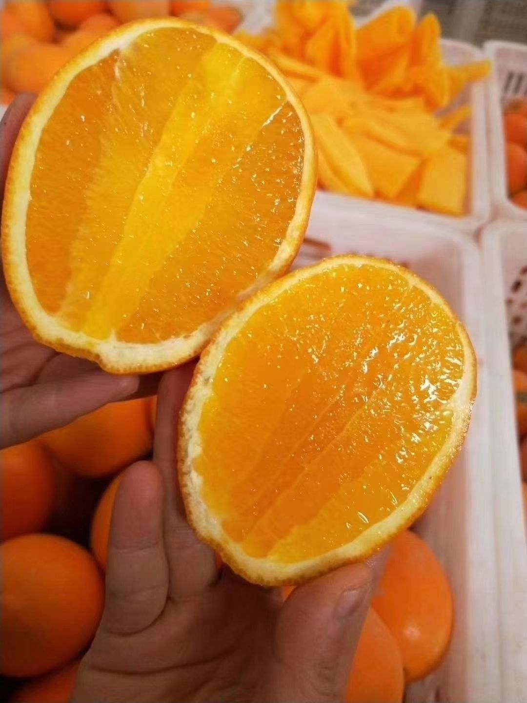 长虹脐橙 长虹