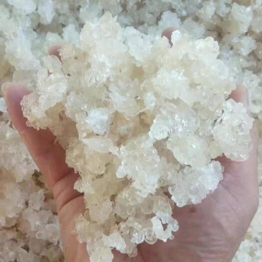 织金县 特级雪燕