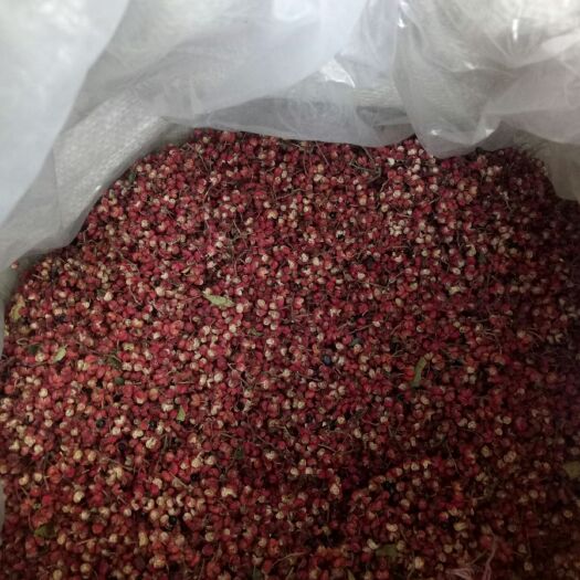 富平县大红袍花椒 特级 干花椒