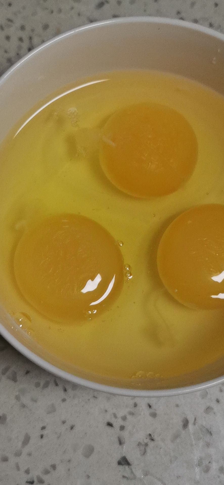 永州 火鸡蛋，尼古拉大种纯正种蛋，受精蛋可孵化种蛋，全国包邮