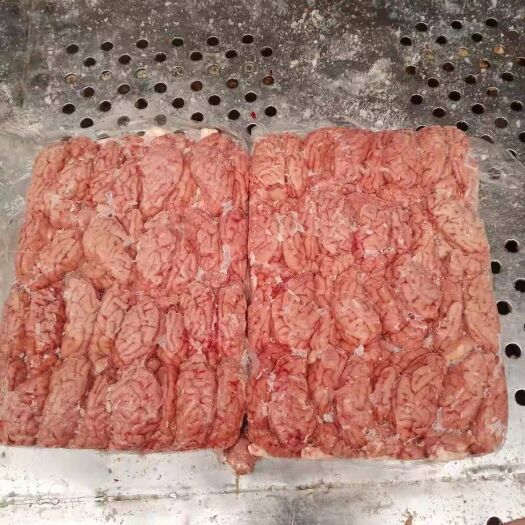 临沂猪脑花 精品一级冻脑花