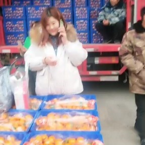 徐州沙糖桔 徐州雨润市场专业代卖各种当季水果