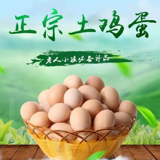 西安 土鸡蛋 土鸡持续供应
