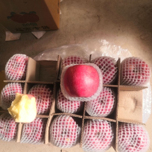 静宁县 静宁苹果山货大量出库，40斤大箱，果形高桩，颜色亮度