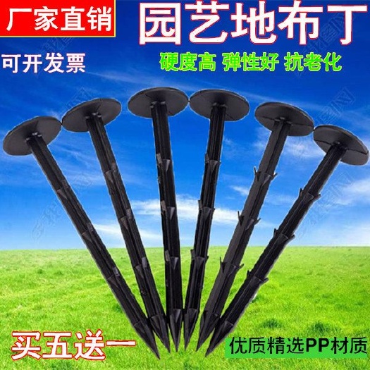无棣县 防草布地钉塑料地钉固定地膜钉子