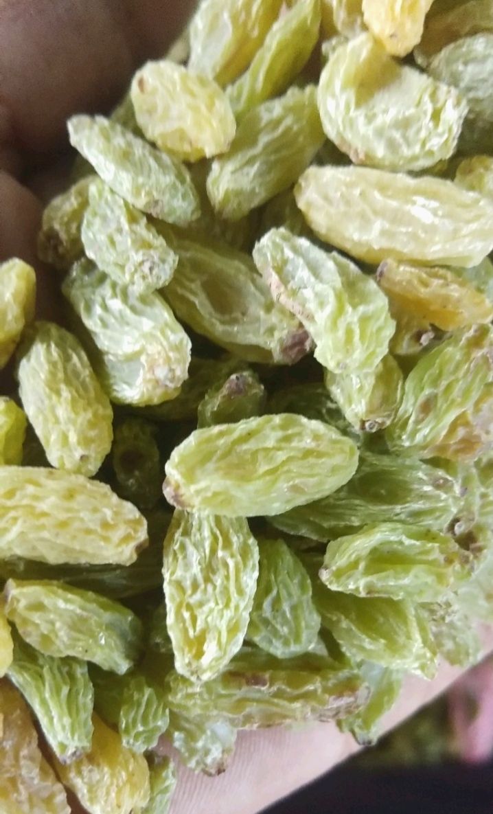 吐鲁番无核葡萄干  新货新疆吐鲁番无核绿葡萄干绿宝石葡萄干中大颗粒