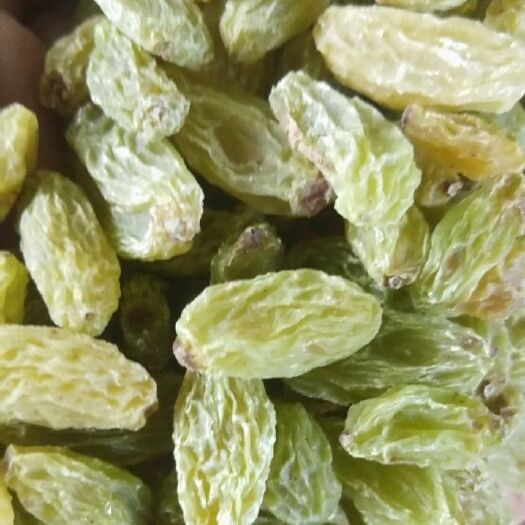 无核葡萄干  新货新疆吐鲁番市无核绿葡萄干绿宝石葡萄干中大颗粒