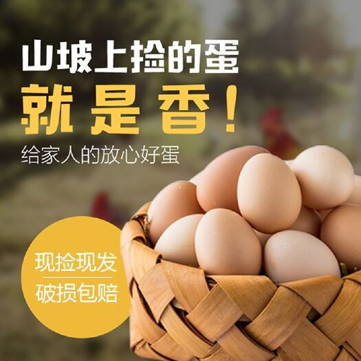 寻乌县土鸡蛋 自家树林散养土鸡，绝不喂饲料，草 虫子 搭配五谷喂养，美味