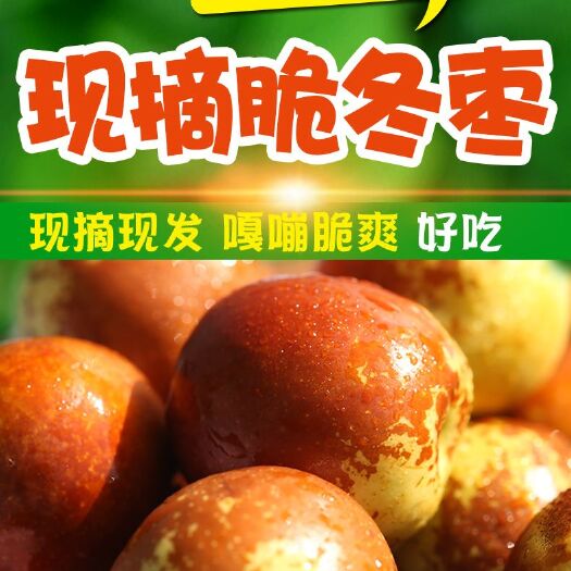 太原 顺丰新鲜水果脆甜大冬枣红枣子现摘批发山东沾化青枣5斤毛
