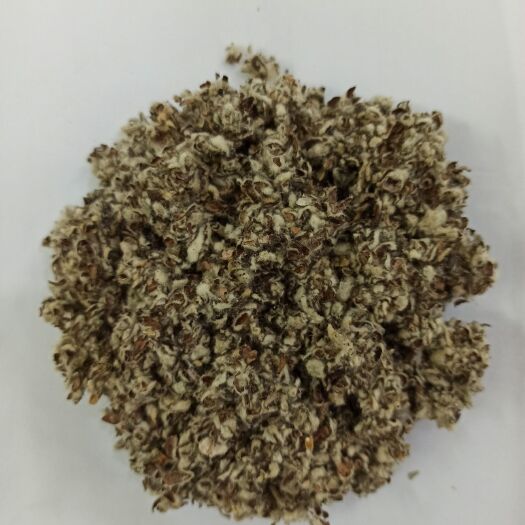 广州棉籽壳  广东韶关优质棉壳 真姬菇 茶树菇 平菇好用