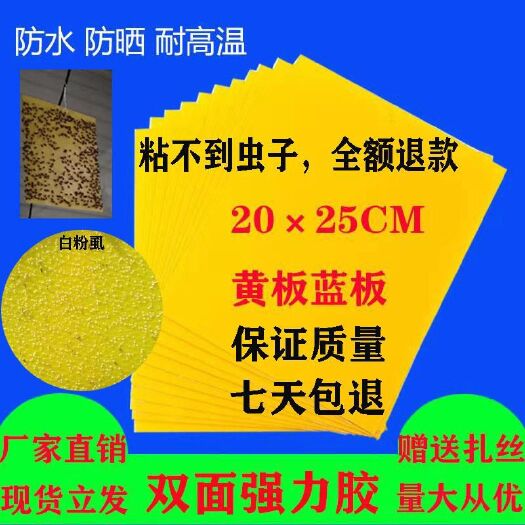 曹县诱虫板  粘虫板诱蛾板粘蝇板大棚沾虫板茶园沾虫板