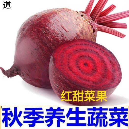 甜菜头 营养红甜菜根 红菜根养生菜水果菜5斤一箱包邮