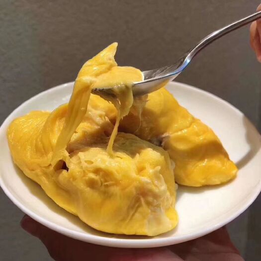 广州 马来西亚猫山猫山王D197，美味享受！榴莲控最爱