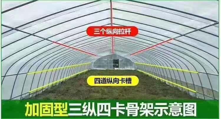 常州蔬菜大棚 厂家直销，种植大棚，养殖大棚：，单体，连体大棚