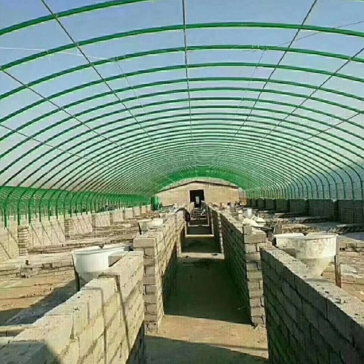 怀远县 专业安装鸡鸭鹅牛羊猪各种钢管温室养殖大棚