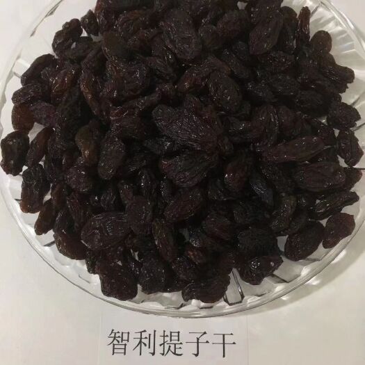 上海无核葡萄干 智利提子干