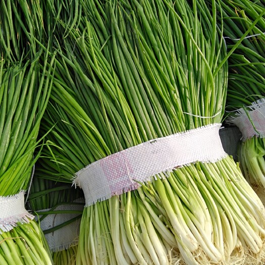 武汉 精品小香葱