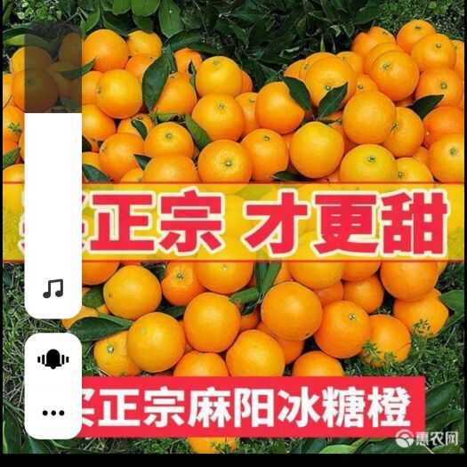 麻阳县正宗麻阳冰糖橙。买正宗才更甜。