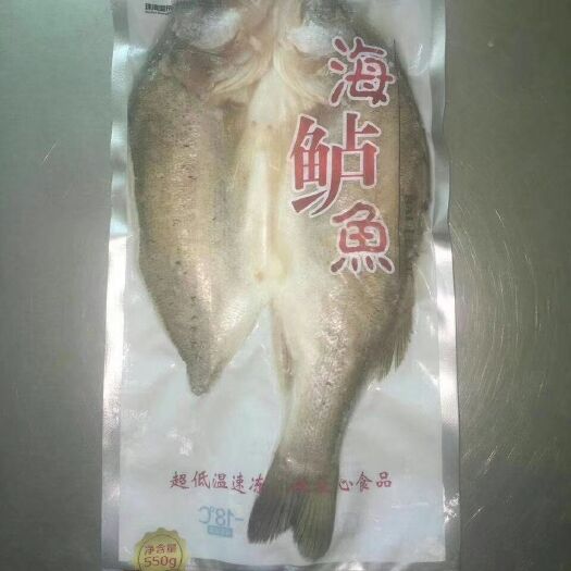 深圳海鲈鱼 腌制：海泸鱼