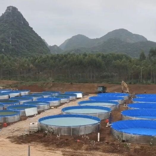 广州淡水石斑 高密度智能淡水水产养殖池