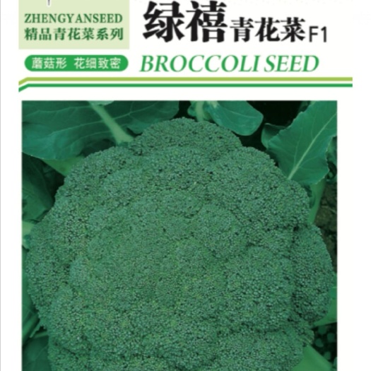 夏邑县绿禧西蓝花种子蘑菇形花蕾浓绿花蕾较细小米粒口感好商品性优