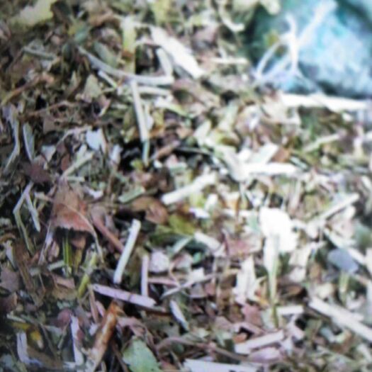 北票市 花生秧