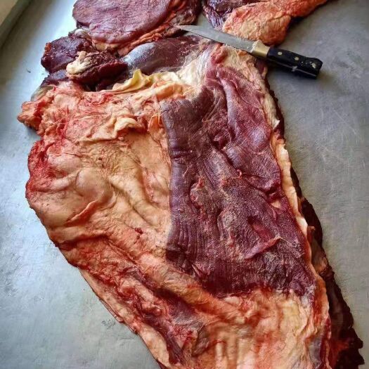 东乌旗牛前肉 生肉