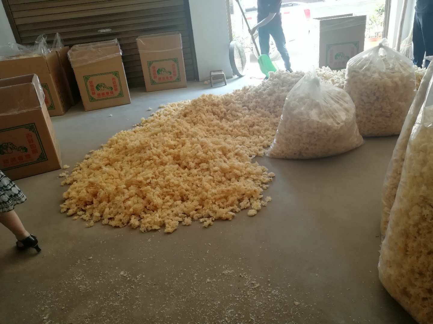  椴木银耳种植基地 雪耳 白木耳 通江银耳 银耳 包邮